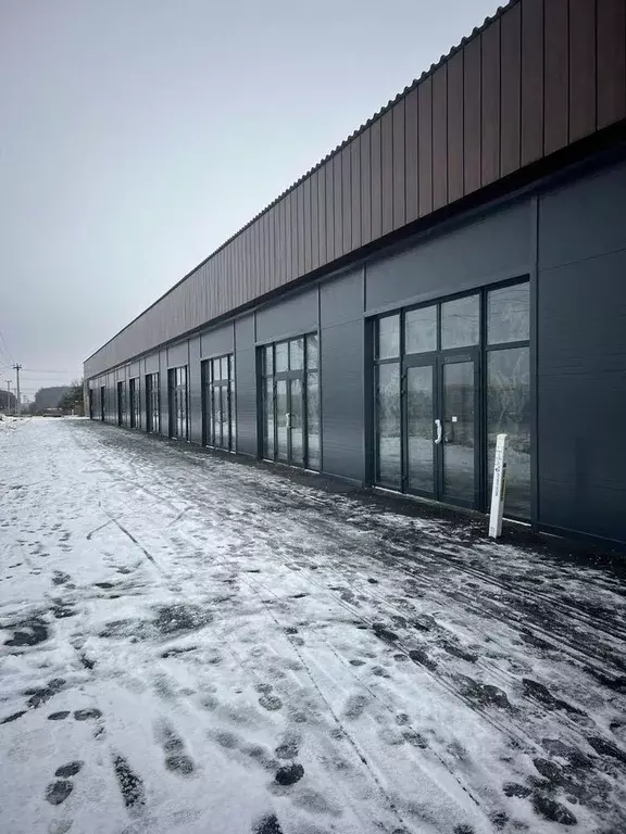 Торговая площадь в Московская область, Ступино городской округ, с. ... - Фото 2