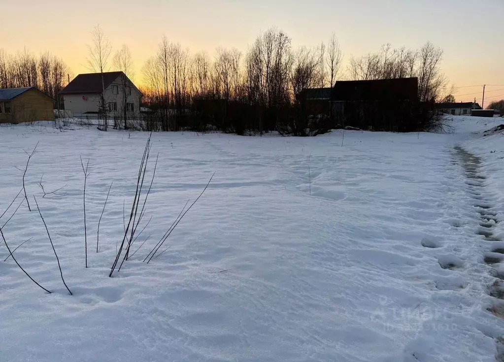 Участок в Вологодская область, Вологда Кубинская ул. (8.0 сот.) - Фото 2