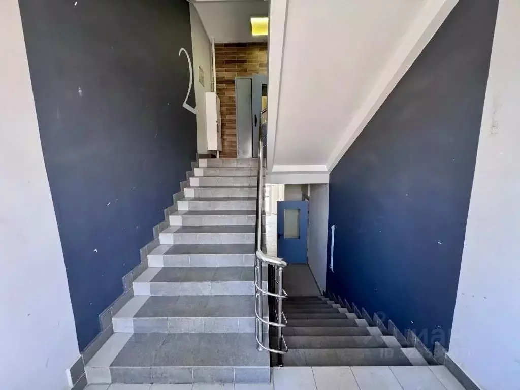 1-к кв. Москва Рябиновая ул., 45К2 (19.0 м) - Фото 2