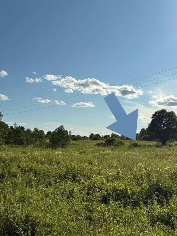 Участок в Московская область, Можайский муниципальный округ, д. ... - Фото 1