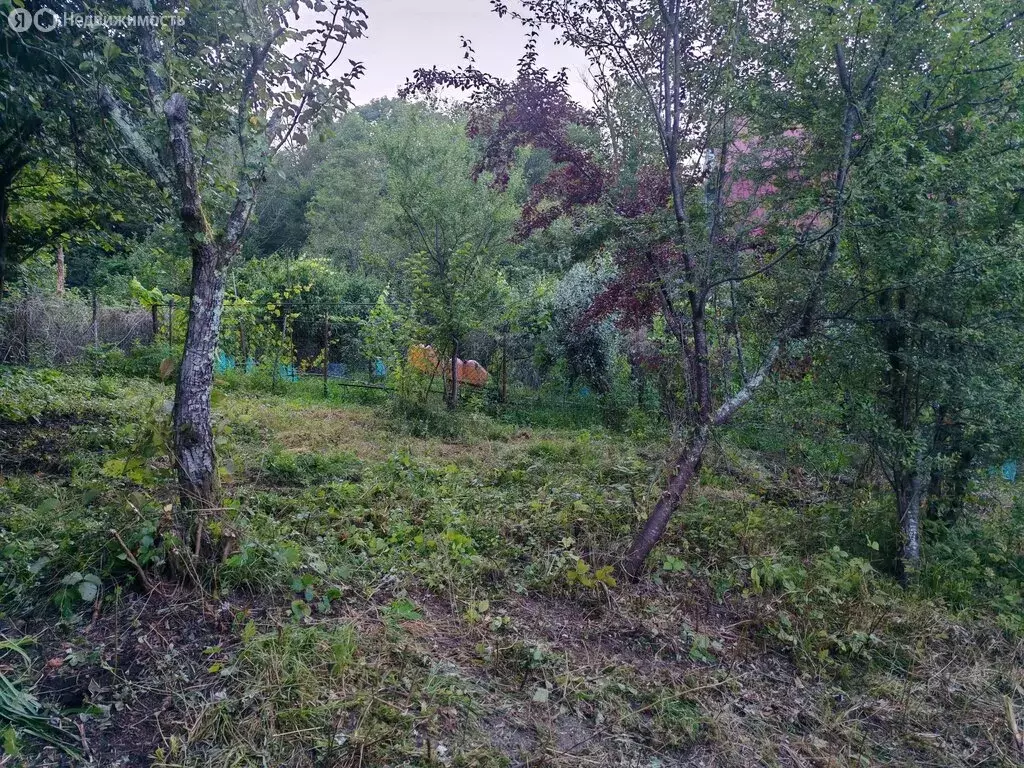 Участок в Сочи, микрорайон Новая Мацеста (5 м) - Фото 1