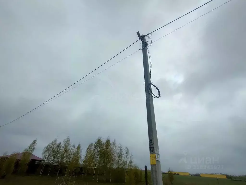 Участок в Новгородская область, Новгородский район, Бронницкое с/пос, ... - Фото 1