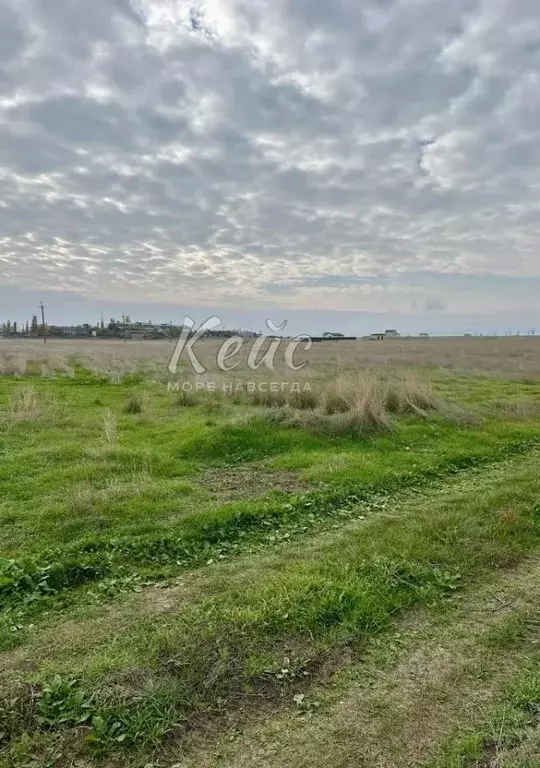 Участок в Крым, Феодосия муниципальный округ, с. Береговое ул. ... - Фото 1