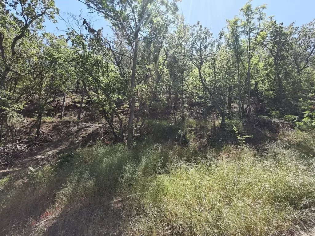 Участок в Крым, Алушта муниципальный округ, пос. Семидворье, Надежда ... - Фото 2