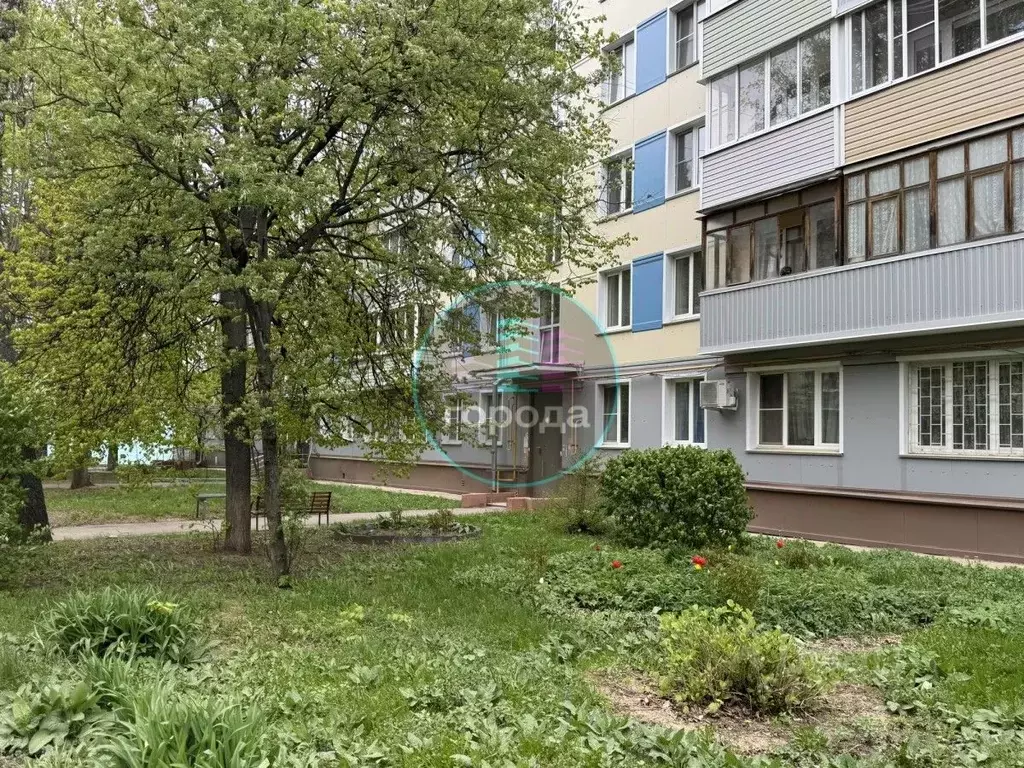 2-к кв. Московская область, Кашира Центральная ул., 9 (42.6 м) - Фото 2