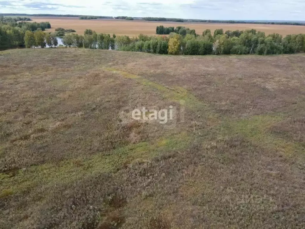 Участок в Тюменская область, Тюменский муниципальный округ, ... - Фото 1
