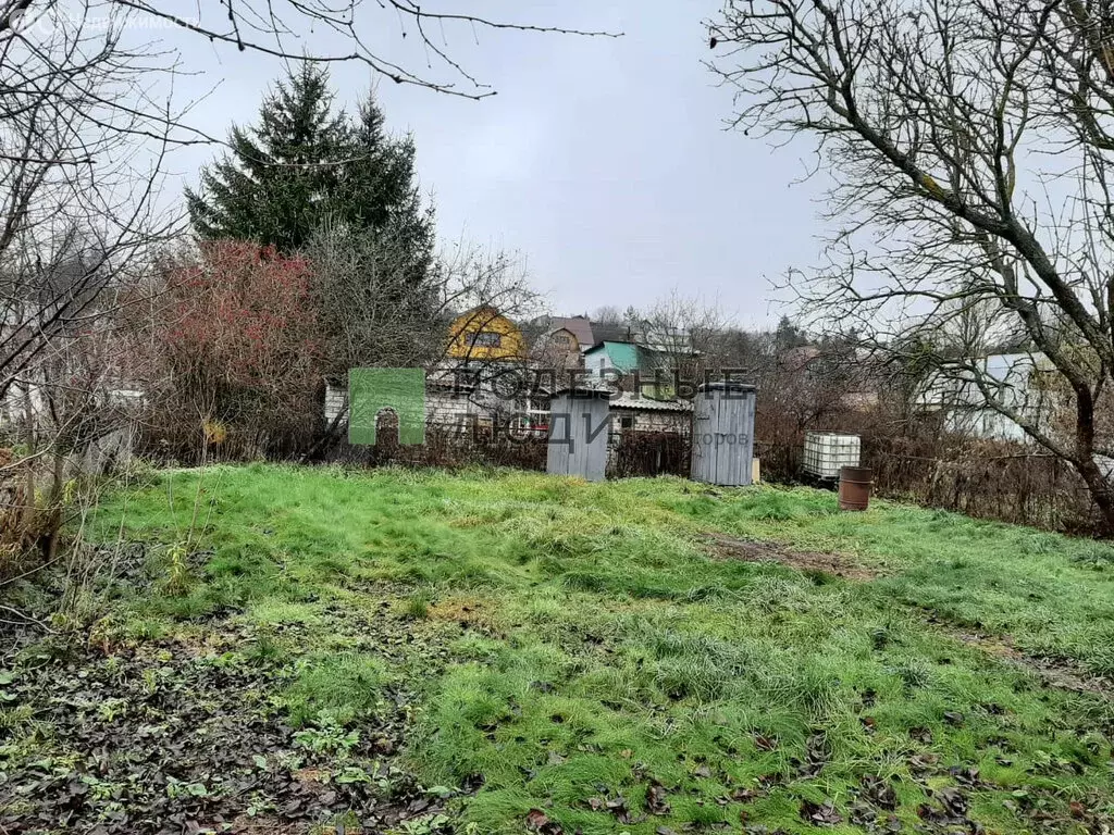 Дом в Орловский муниципальный округ, СНТ Снежинка, 145/1 (57 м) - Фото 2