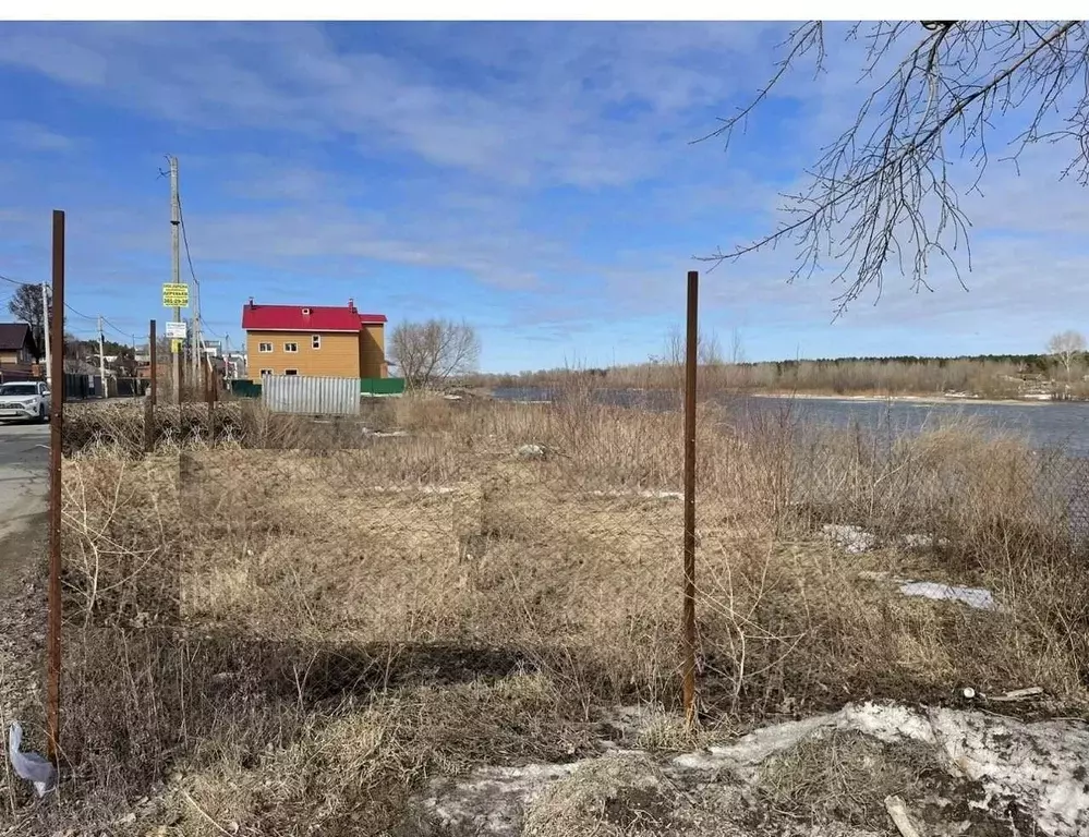 Участок в Новосибирская область, Новосибирский район, Кудряшовский дп ... - Фото 2