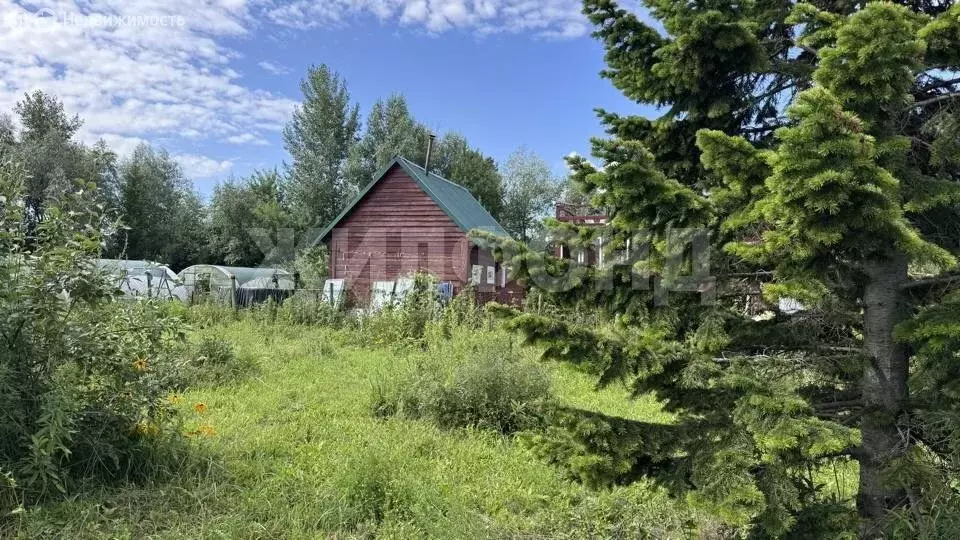Дом в Колыванский район, СНТ Рыбачий (30 м) - Фото 1
