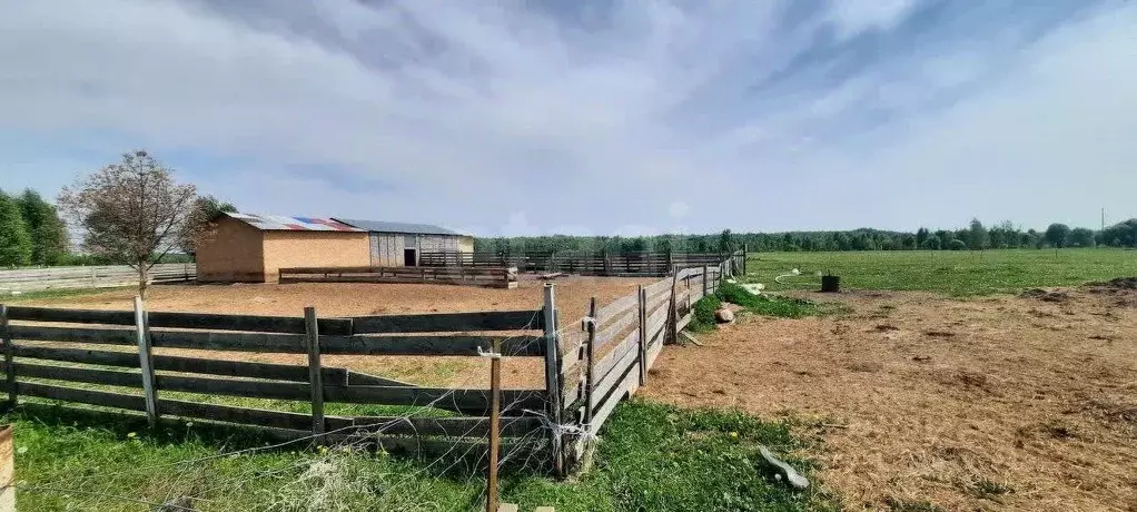 Участок в Калужская область, Козельский район, Деревня Плюсково с/пос, ... - Фото 1