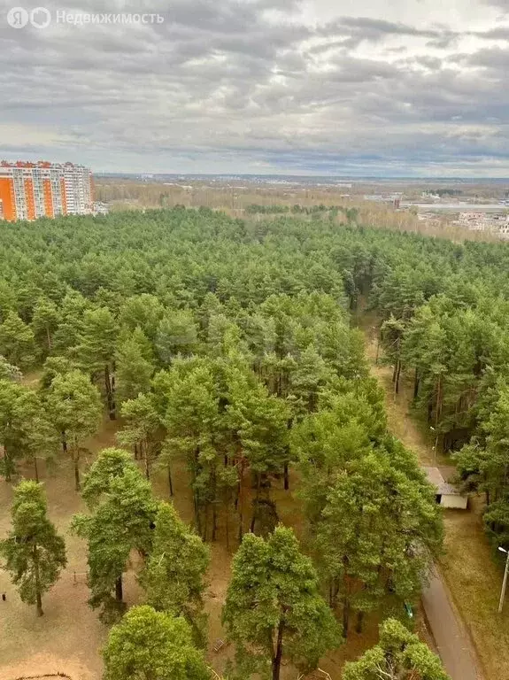 1-комнатная квартира: Тверь, улица Орджоникидзе, 49к9 (48 м) - Фото 1