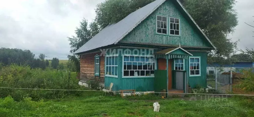 Дом в Новосибирская область, Коченевский район, с. Федосиха ул. Ишим ... - Фото 0