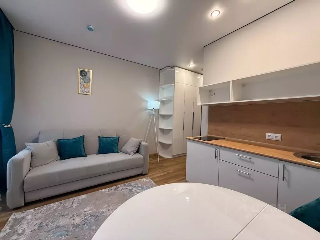 Студия Новосибирская область, Новосибирск ул. Ленина, 85 (30.0 м) - Фото 1