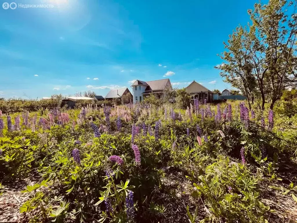 Участок в Уфа, СНТ Ромашка (8 м) - Фото 2