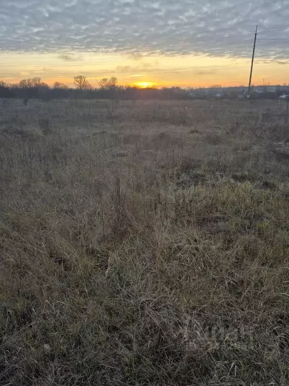 Участок в Саратовская область, Петровск ул. Мира, 4 (10.0 сот.) - Фото 1