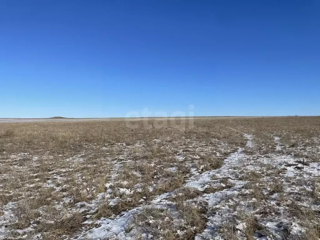 Участок в Крым, Симферопольский район, с. Донское  (311.62 сот.) - Фото 1