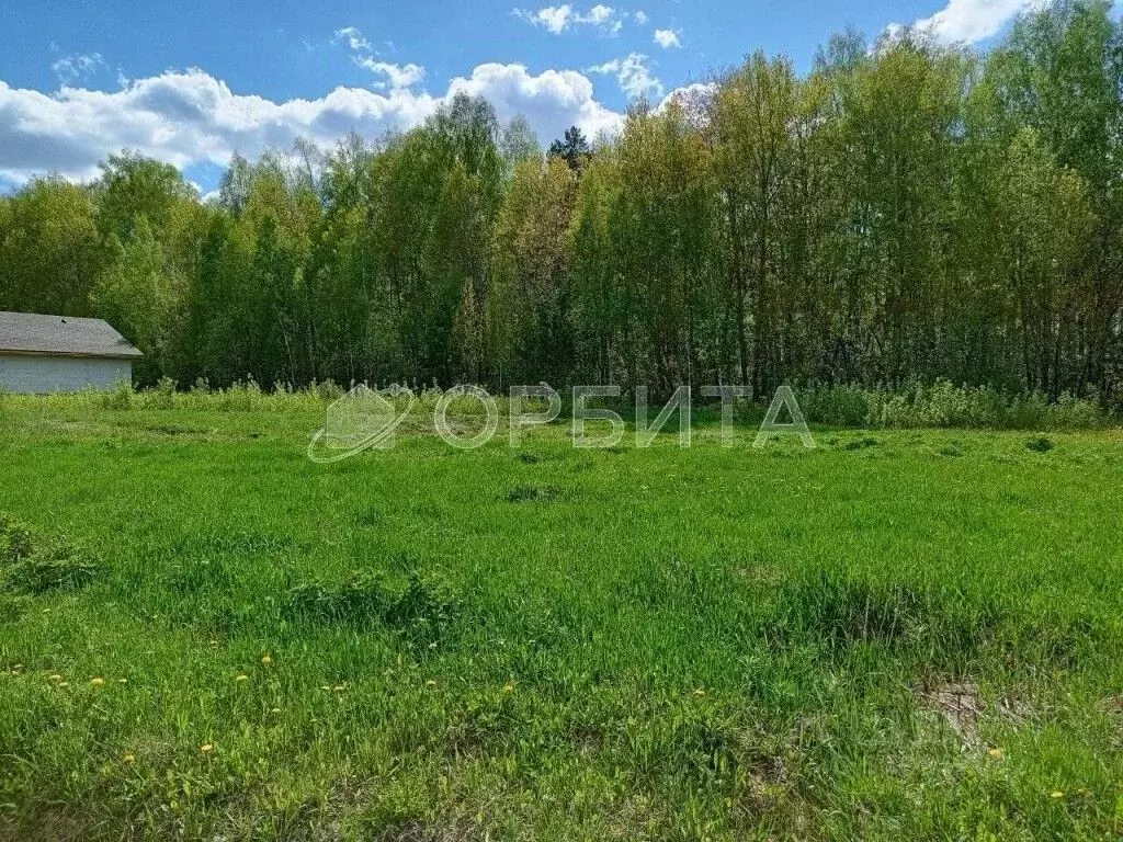 Участок в Тюменская область, Тюменский район, с. Кулига  (10.0 сот.) - Фото 1