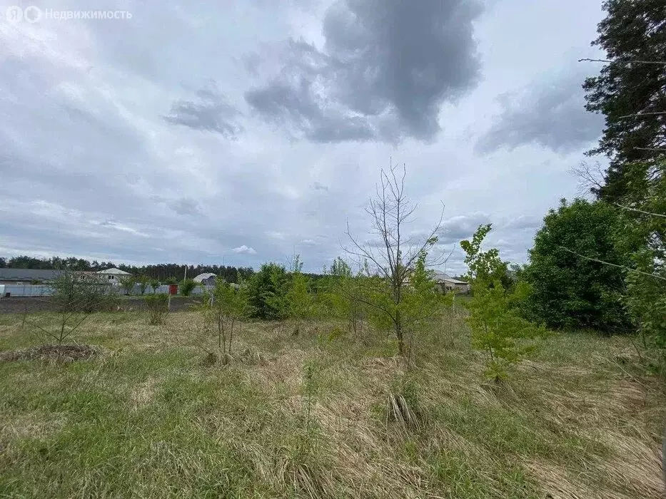 Участок в Брянск, территория СО Мечта, Виноградная улица (8 м) - Фото 1
