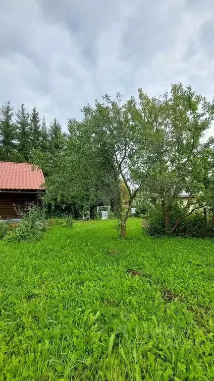 Участок в Московская область, Дмитровский муниципальный округ, д. ... - Фото 2