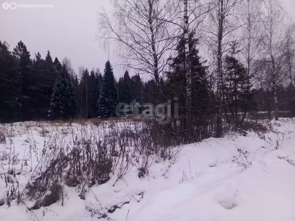 Участок в Московская область, городской округ Подольск, деревня ... - Фото 1