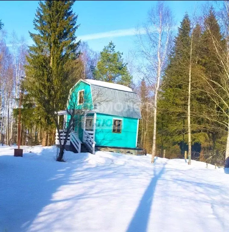 Дом в Московская область, Рузский муниципальный округ, д. Усадково, ... - Фото 2