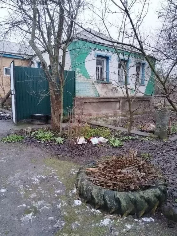 Дом в Белгородская область, Новооскольский муниципальный округ, село ... - Фото 1