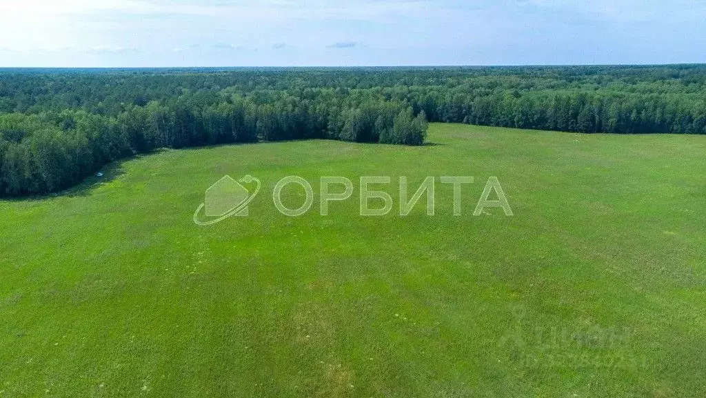 Участок в Тюменская область, Тюменский муниципальный округ, с. Кулига  ... - Фото 1