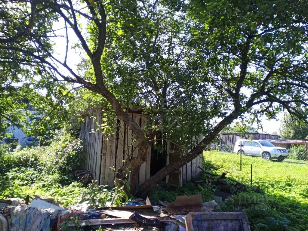 1-к кв. Новгородская область, Сольцы г. Солецкий муниципальный округ, ... - Фото 1