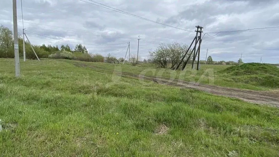 Участок в Тюменская область, Исетский район, с. Солобоево Новая ул., 4 ... - Фото 0