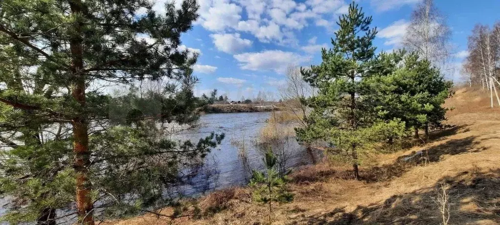 Участок в Новгородская область, Боровичский район, д. Егла Зеленый ... - Фото 1