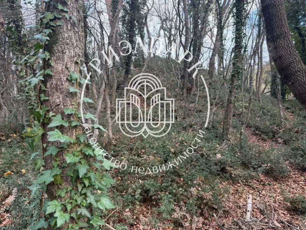 Участок в Крым, Ялта муниципальный округ, Массандра пгт ул. ... - Фото 1