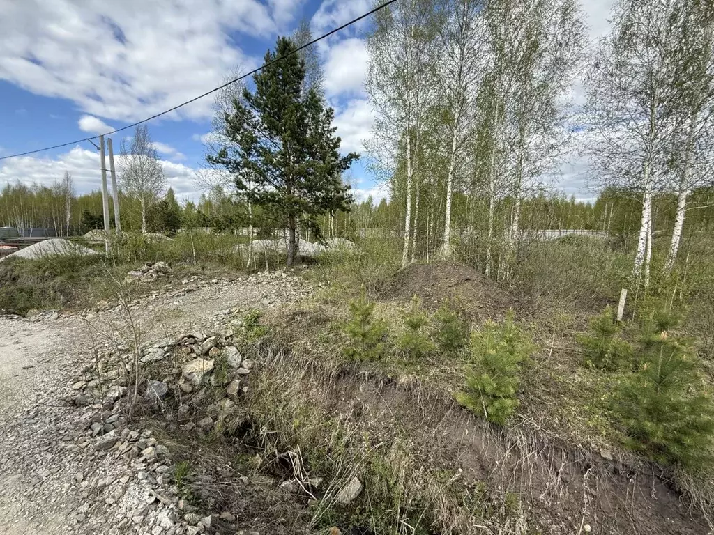 Участок в Свердловская область, Верхнее Дуброво пгт ул. Марьина Роща, ... - Фото 1