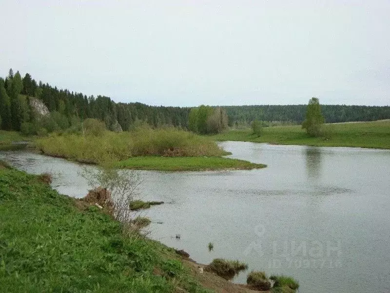 Участок в Свердловская область, Шалинский городской округ, с. Чусовое  ... - Фото 0