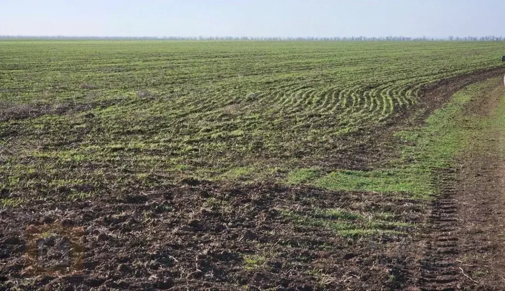 Участок в Крым, Сакский район, с. Охотниково  (402.0 сот.) - Фото 1