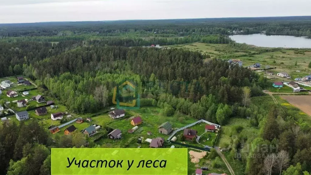 Участок в Ленинградская область, Приозерский район, Раздольевское ... - Фото 1