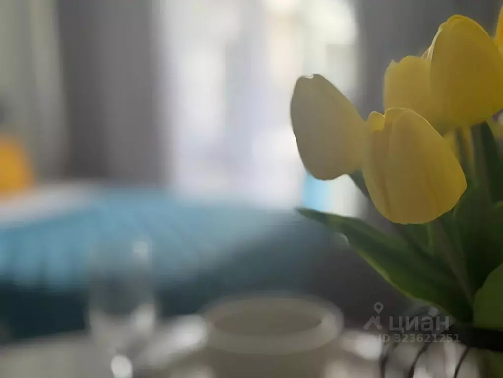 Студия Краснодарский край, Сочи ул. Искры, 88к3 (27.8 м) - Фото 2