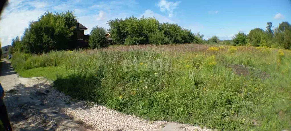 Участок в Нижегородская область, Богородский муниципальный округ, с. ... - Фото 0