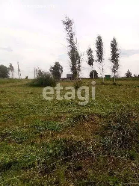 Участок в Сетка, Зелёная улица (20 м) - Фото 2