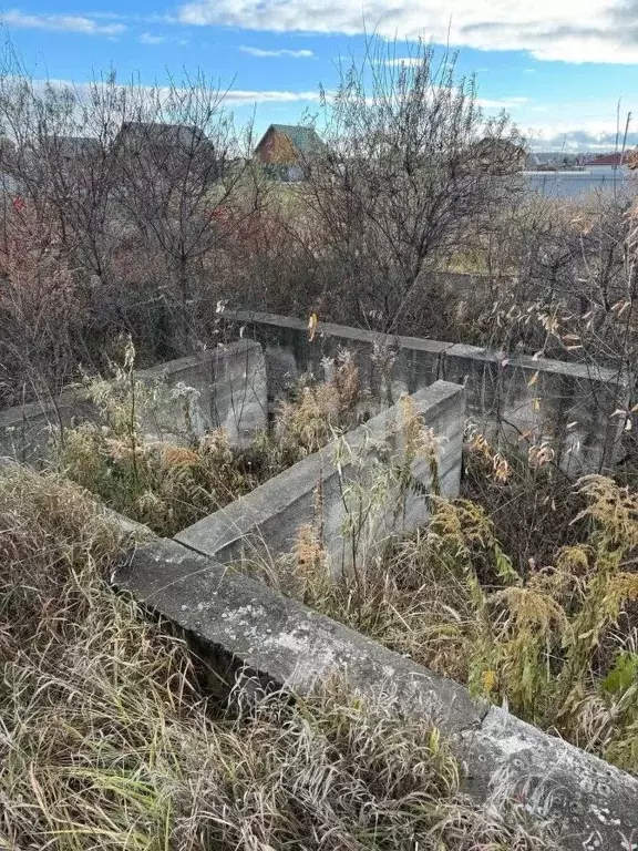 Участок в Новосибирская область, Новосибирский район, пос. Мичуринский ... - Фото 1