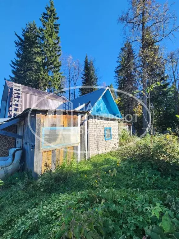 Дом в Пермский край, Чернушка Лесное СНТ, 18 (20 м) - Фото 1