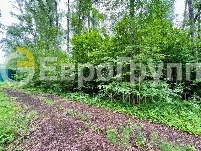 Участок в Московская область, Одинцовский городской округ, д. ... - Фото 1
