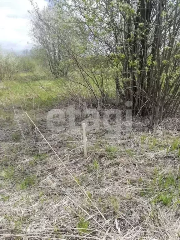 Участок в Костромская область, Кострома проезд Кружевной (9.6 сот.) - Фото 1