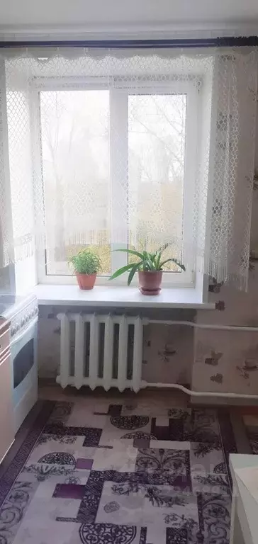 Комната Кемеровская область, Прокопьевск ул. Гайдара, 31 (20.3 м) - Фото 0