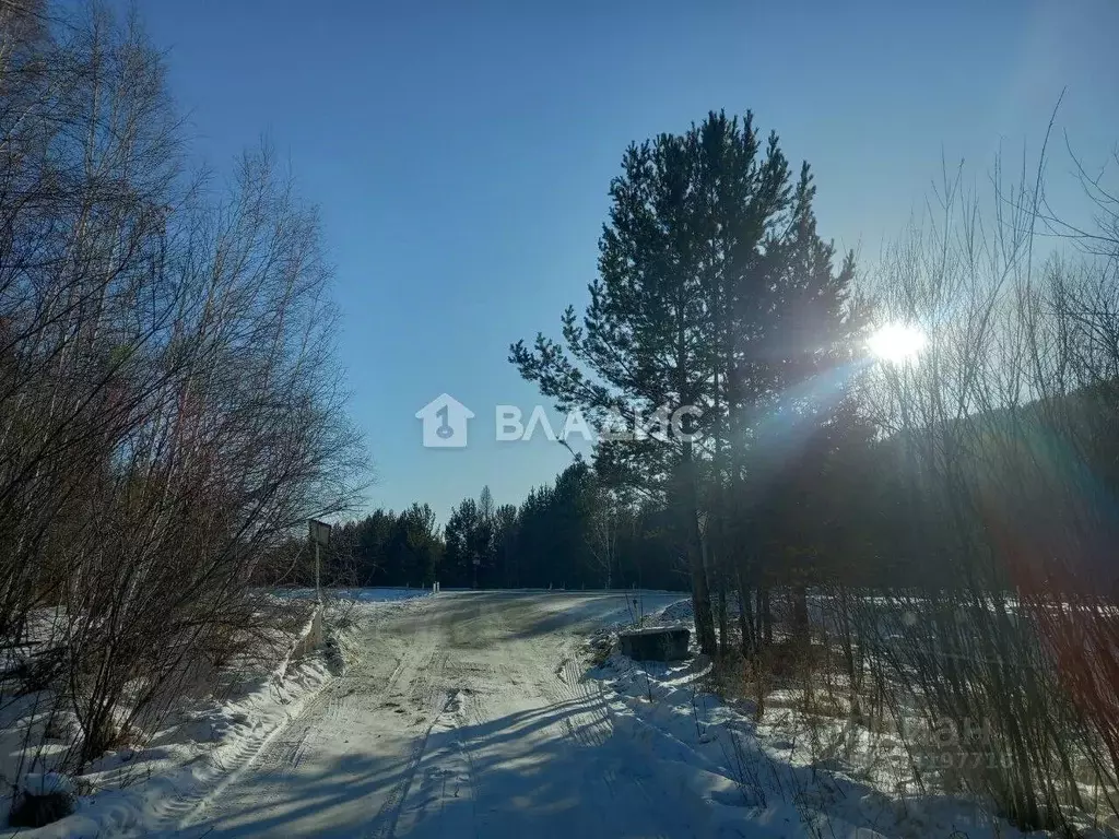 Участок в Забайкальский край, Читинский район, № 20 Никишиха СНТ  ... - Фото 2