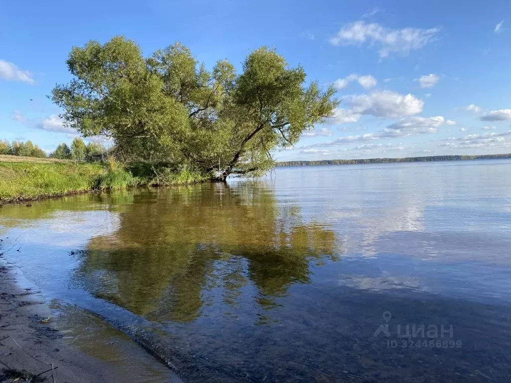 Участок в Ярославская область, Угличский муниципальный округ, д. Илино ... - Фото 1