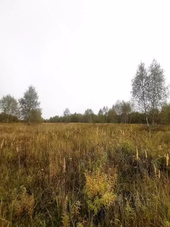 Участок в Тульская область, Веневский муниципальный округ, с. Марыгино ... - Фото 1