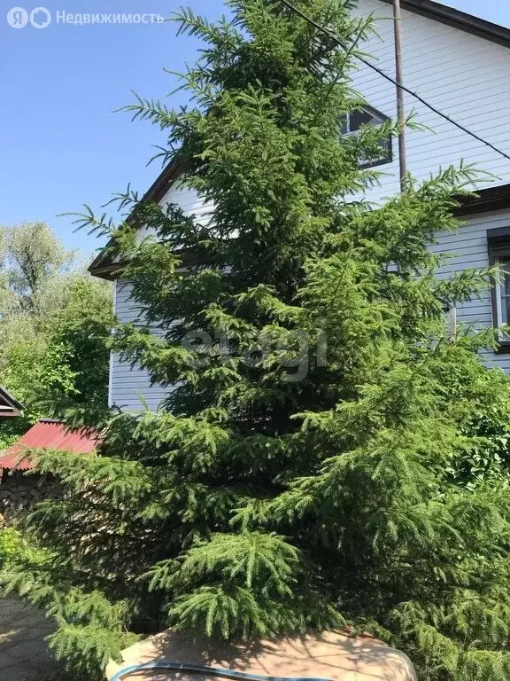 Дом в Ордынский район, деревня Ерестная, Береговая улица (131.1 м) - Фото 2