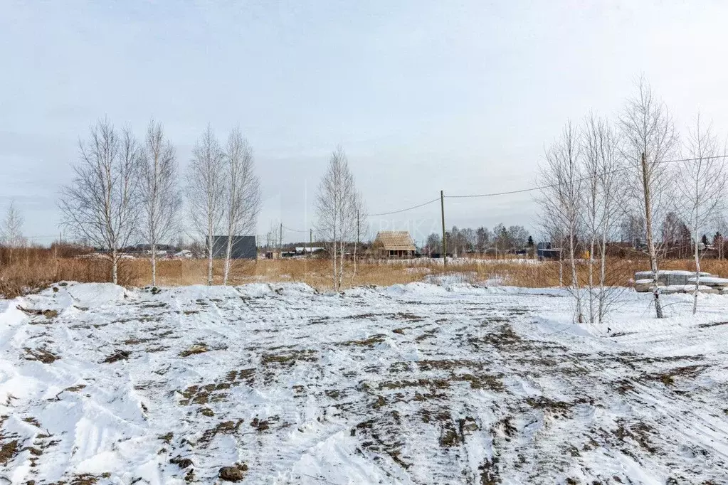 Участок в Тюменская область, Тюмень Матрешка СНТ, ул. Елисеевская ... - Фото 0