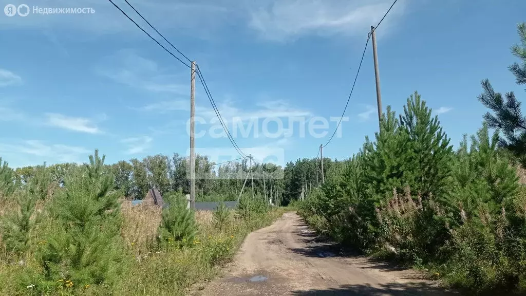 Участок в Свердловская область, Белоярский муниципальный округ, ... - Фото 1