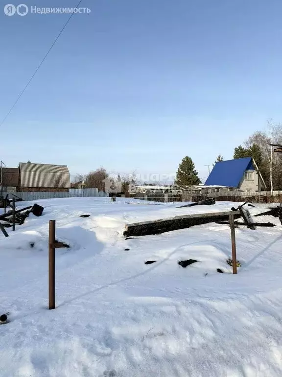 Участок в Омск, садоводческое некоммерческое товарищество Звёздочка, ... - Фото 1